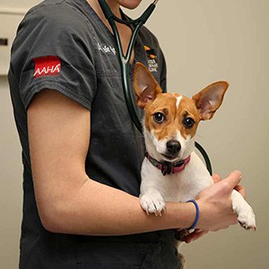 Urgent Care Urgent Care